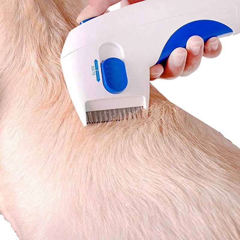 Éliminateur de puces électrique pour animaux de compagnie – FleaZap