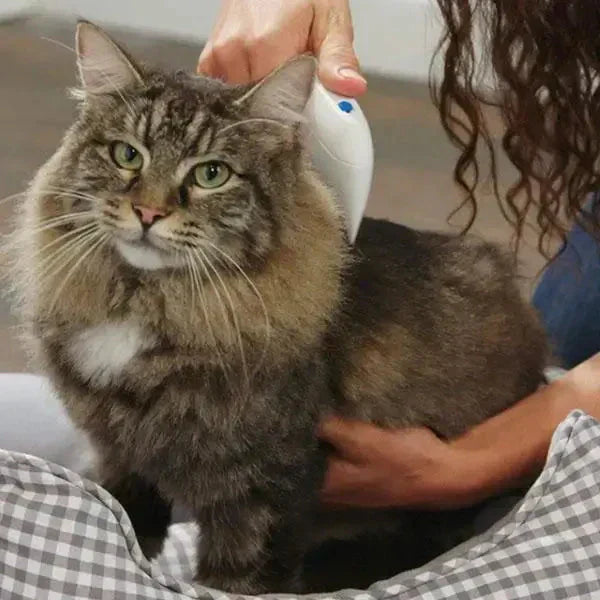 Éliminateur de puces électrique pour animaux de compagnie – FleaZap